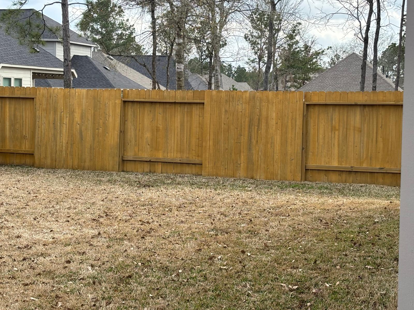 Fences 004