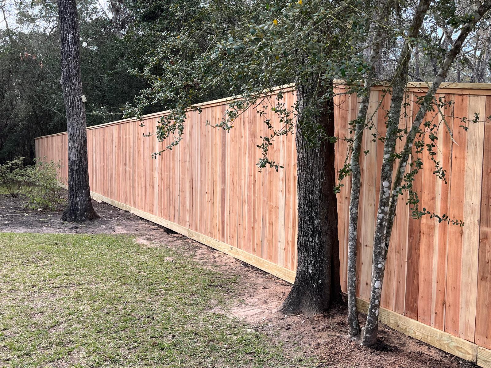 Fences 006